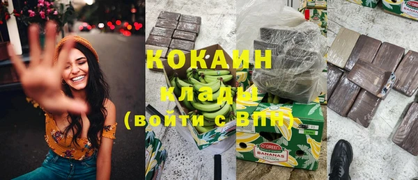 шишки Богданович