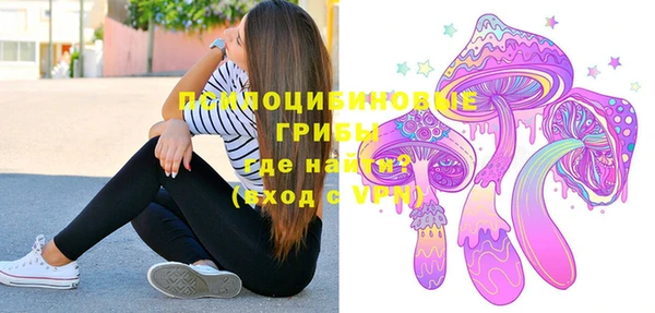 шишки Богданович