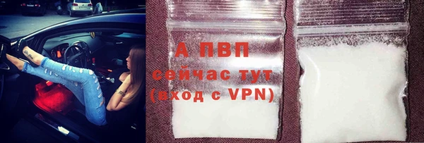 шишки Богданович