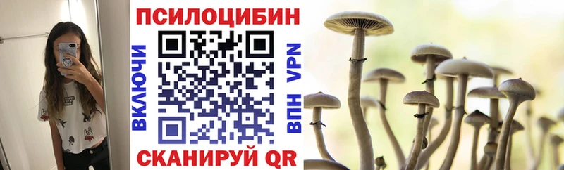 Псилоцибиновые грибы Cubensis  цены наркотик  Красный Холм 